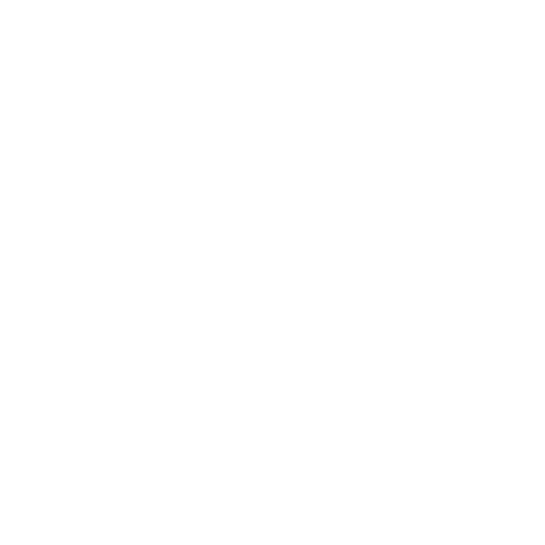 Demstav-Group