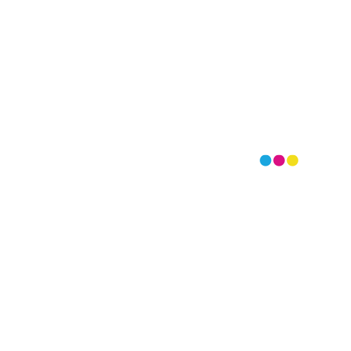 Levelpro